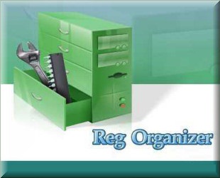 Reg Organizer
